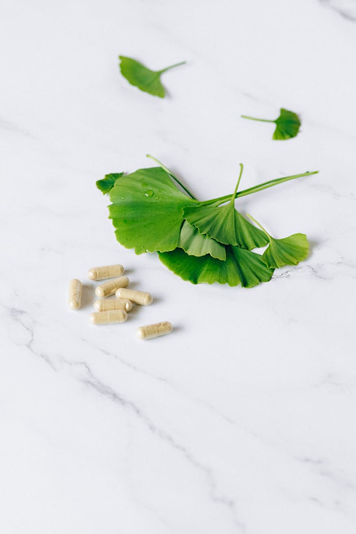 Flat lay of herbal capsules and fresh ginkgo leaves on a marble surface for natural remedy concept.